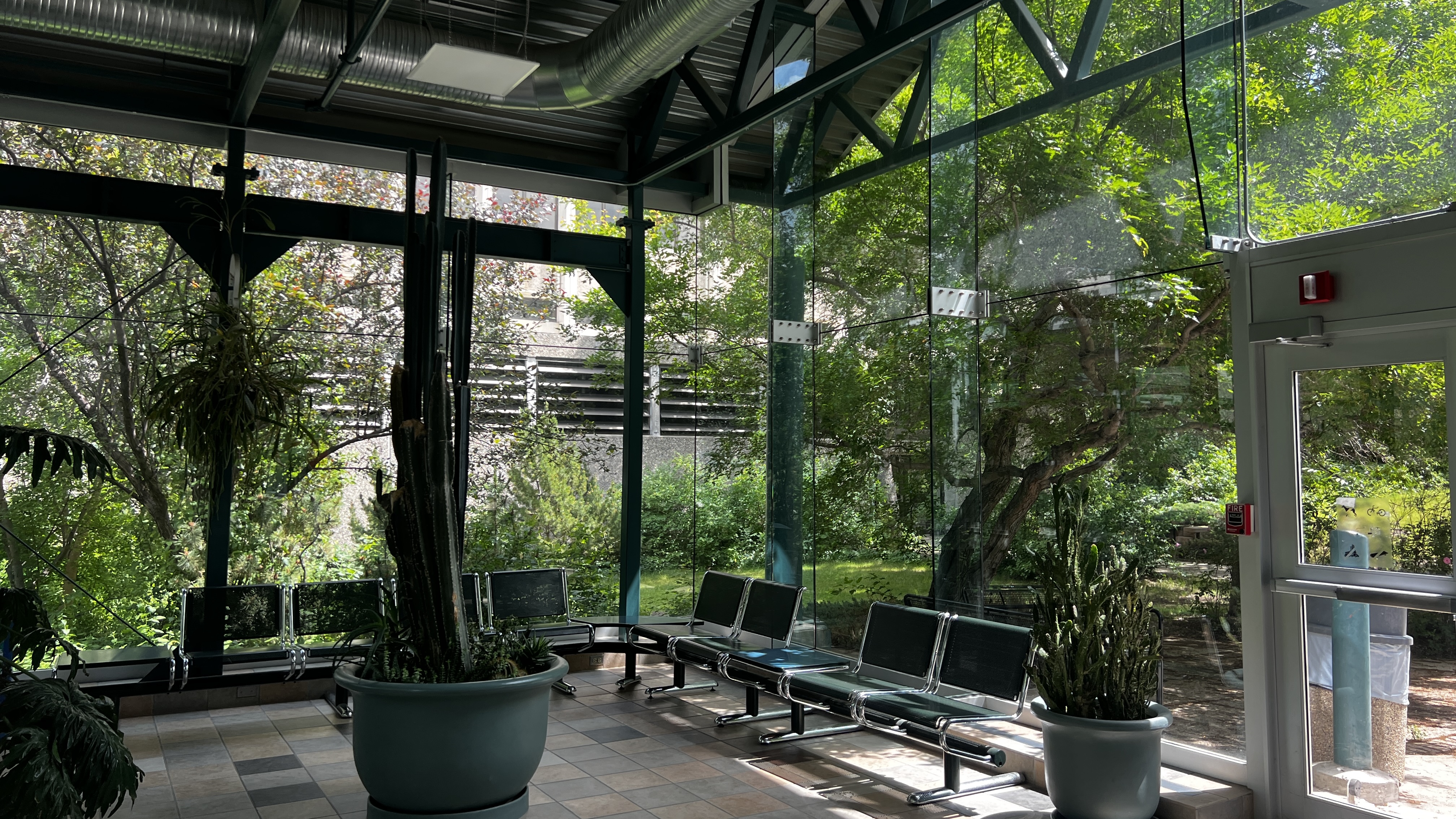 Glass and plants
